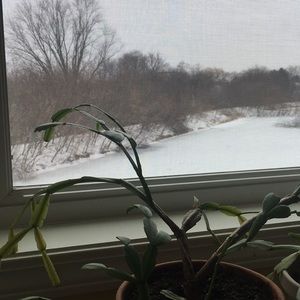 Meet your Posher, Jenny